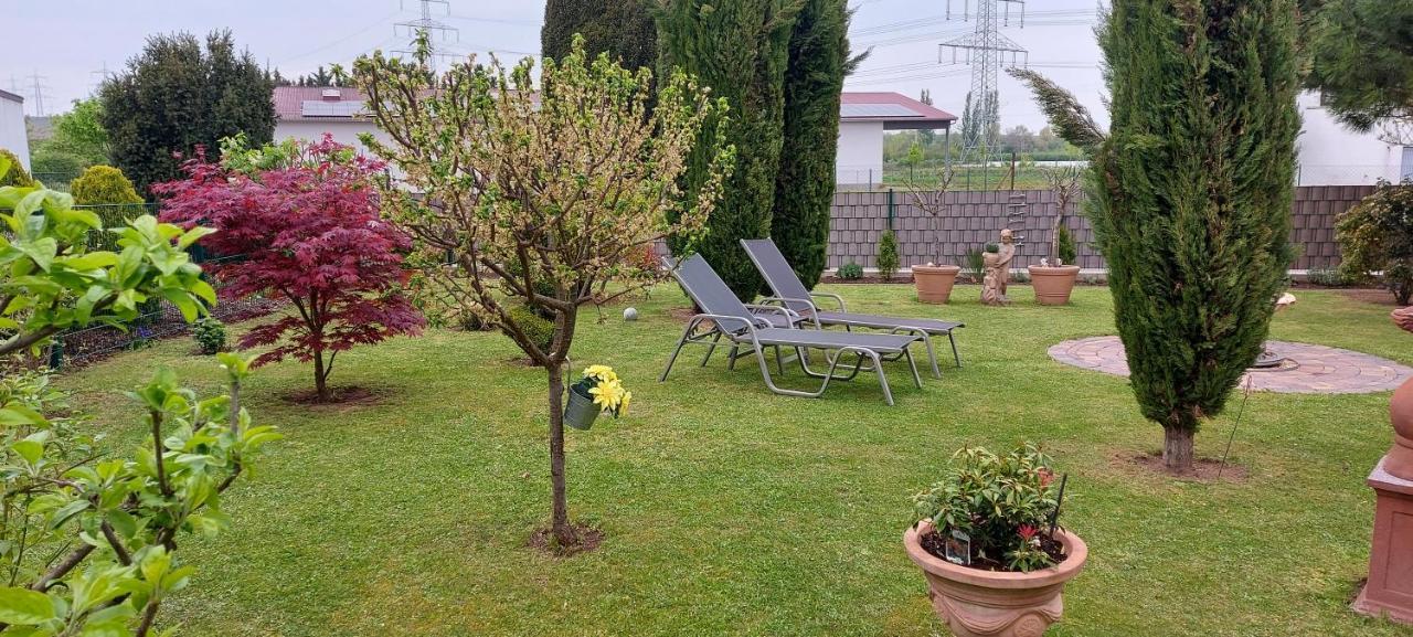 Ferienwohnung Zum Weinberg Grosskarlbach Exterior foto