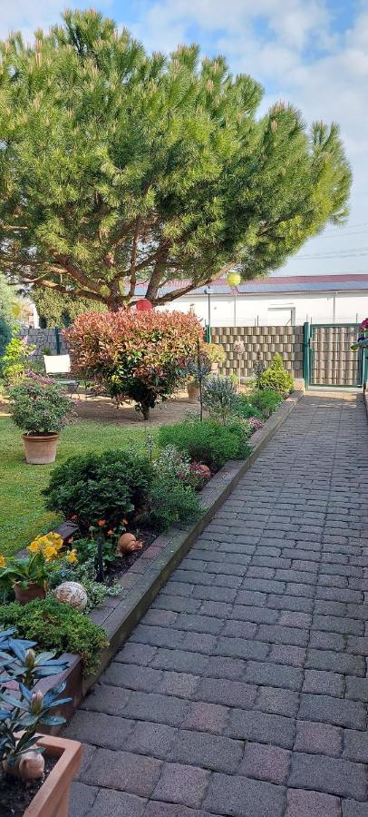 Ferienwohnung Zum Weinberg Grosskarlbach Exterior foto