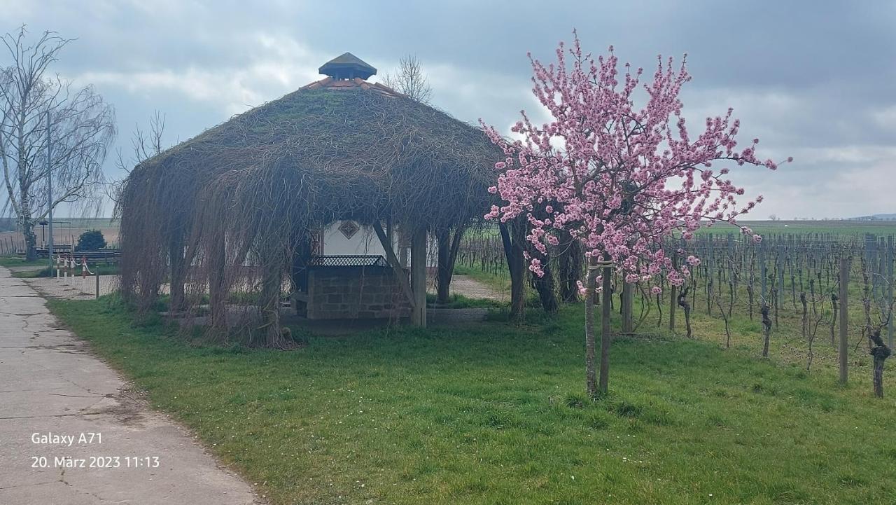 Ferienwohnung Zum Weinberg Grosskarlbach Exterior foto