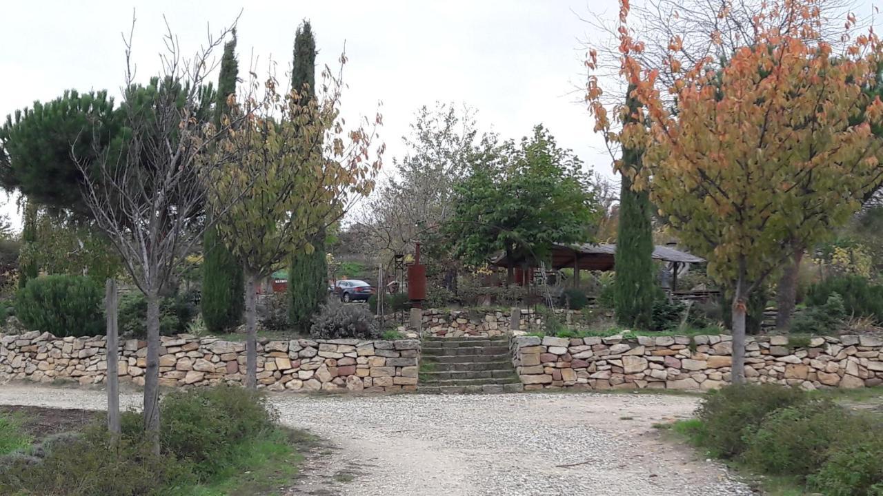 Ferienwohnung Zum Weinberg Grosskarlbach Exterior foto